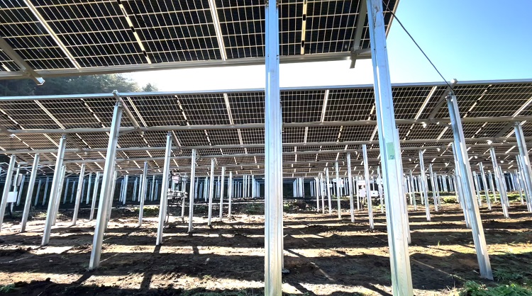 二本松営農ソーラー