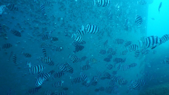 スカートサクション