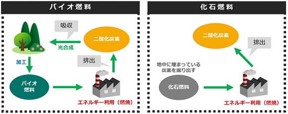次世代バイオディーゼル燃料の実用性検証試験