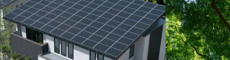 太陽光発電自家消費サービス