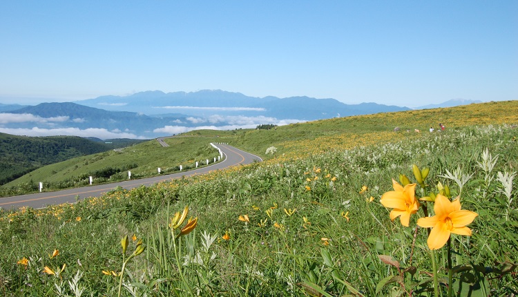 長野県ビーナスライン