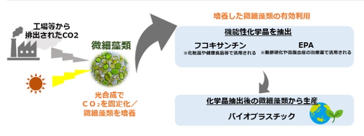 微細藻類によるＣＯ２固定化プロジェクト