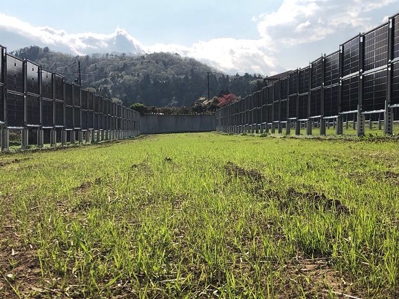 垂直営農ソーラー