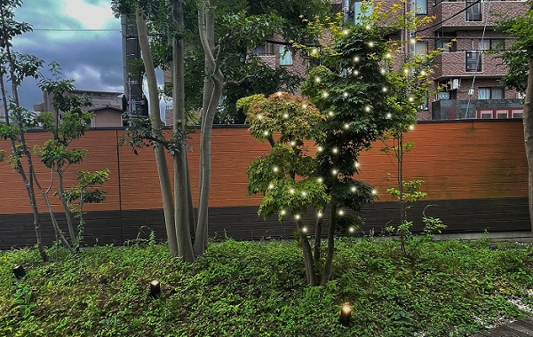 デニーズ調布店、植物の成長エネルギーで点灯する「ボタニカルライト」を中庭に常設化