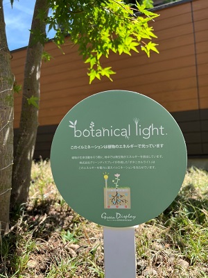 デニーズ調布店、植物の成長エネルギーで点灯する「ボタニカルライト」を中庭に常設化