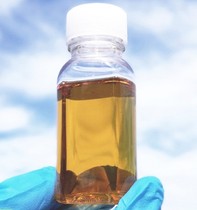 ワーカーズコープ、区内の廃食用油による発電で「あらかわ遊園」のイルミネーションを点灯