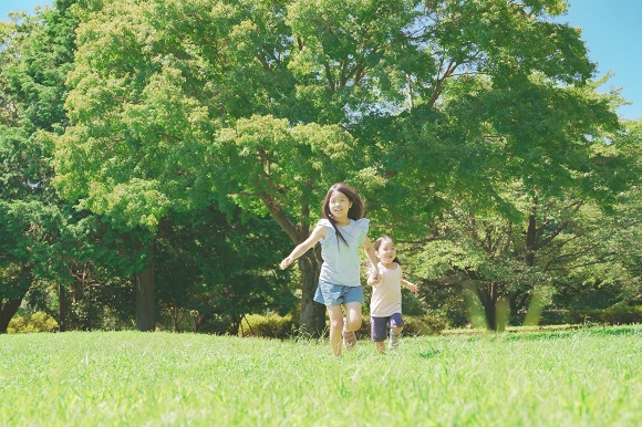 ワーカーズコープ、区内の廃食用油による発電で「あらかわ遊園」のイルミネーションを点灯