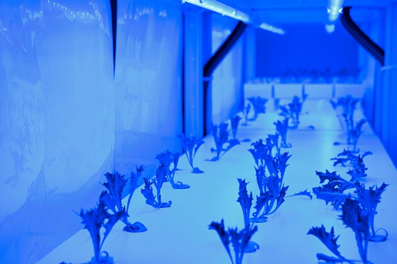 東急ホテルズ×東急バス、川崎市の小学生に環境学習「水素で学ぶSDGs」を実施