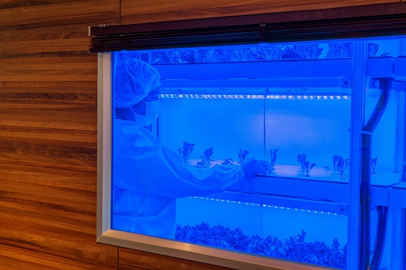 東急ホテルズ×東急バス、川崎市の小学生に環境学習「水素で学ぶSDGs」を実施