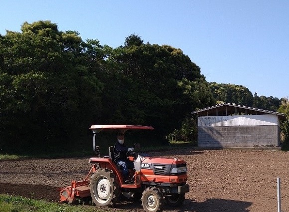 和コーポレーション、長崎県壱岐市でソルガムを栽培