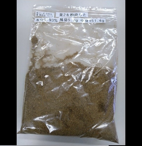 和コーポレーション、長崎県壱岐市でソルガムを栽培