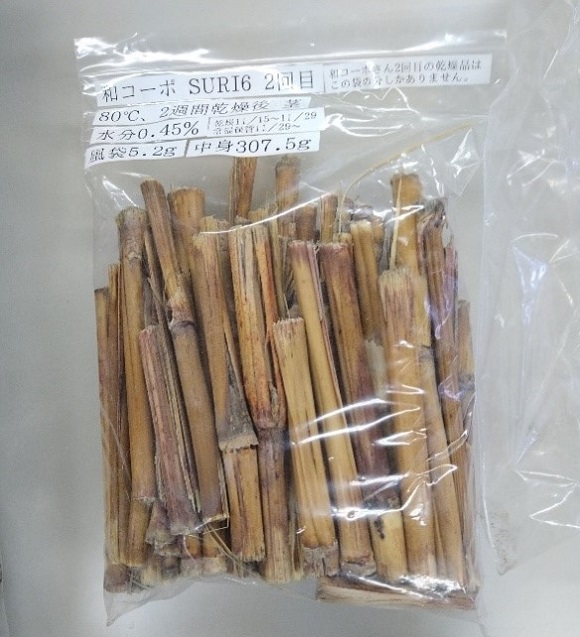 和コーポレーション、長崎県壱岐市でソルガムを栽培