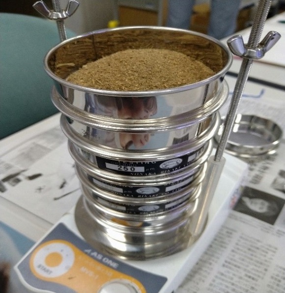 和コーポレーション、長崎県壱岐市でソルガムを栽培