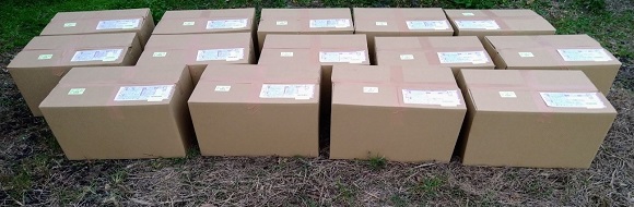 和コーポレーション、長崎県壱岐市でソルガムを栽培