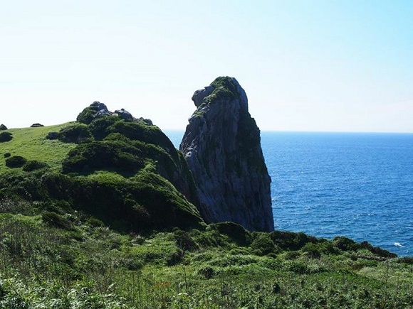 長崎壱岐でソルガム栽培に取り組む坂本和久社長のインタビュー