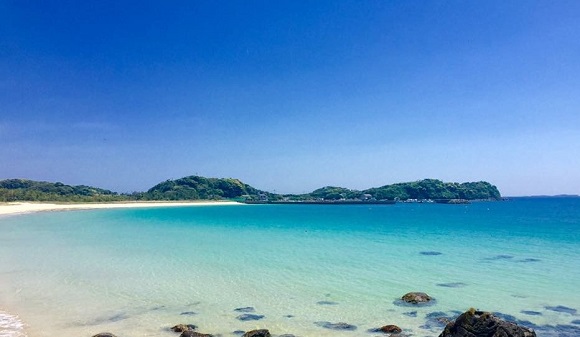 長崎壱岐でソルガム栽培に取り組む坂本和久社長のインタビュー