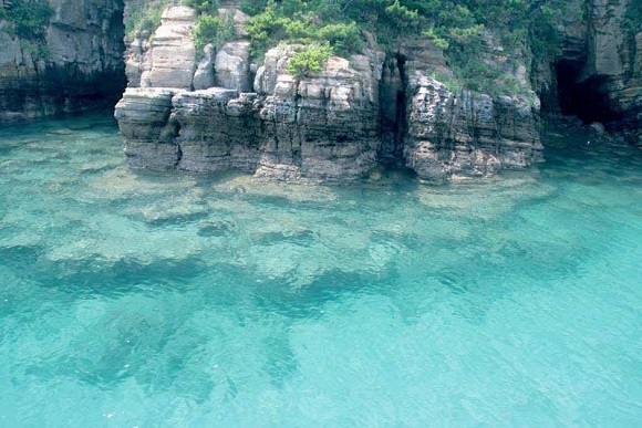 長崎壱岐でソルガム栽培に取り組む坂本和久社長のインタビュー