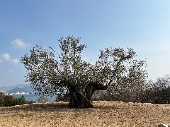 両備グループ、小豆島観光「100％電動バイク」スマートEVレンタルサービス