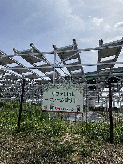 千葉エコ・エネルギー、荒廃農地再生を目指したソーラーシェアリングのオリーブ栽培・計画策定等をサポート