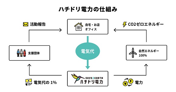 ハチドリ電力、自然エネルギー100％の新料金プランを設立